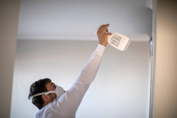 Best Residential Mold Remediation in Sprague, WV