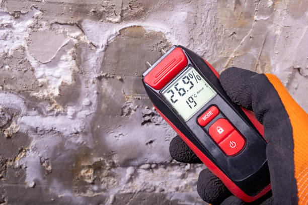 Sprague, WV Mold Remediation Company