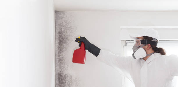 Best Mold Testing and Inspection Services in Sprague, WV